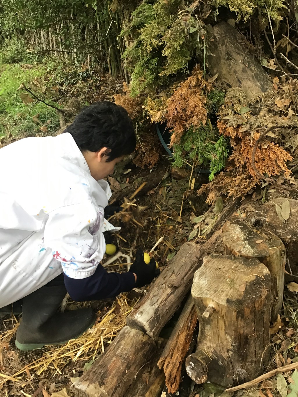 Unit 1 4.2. Explain ways to involve learners in sustainable woodland management.