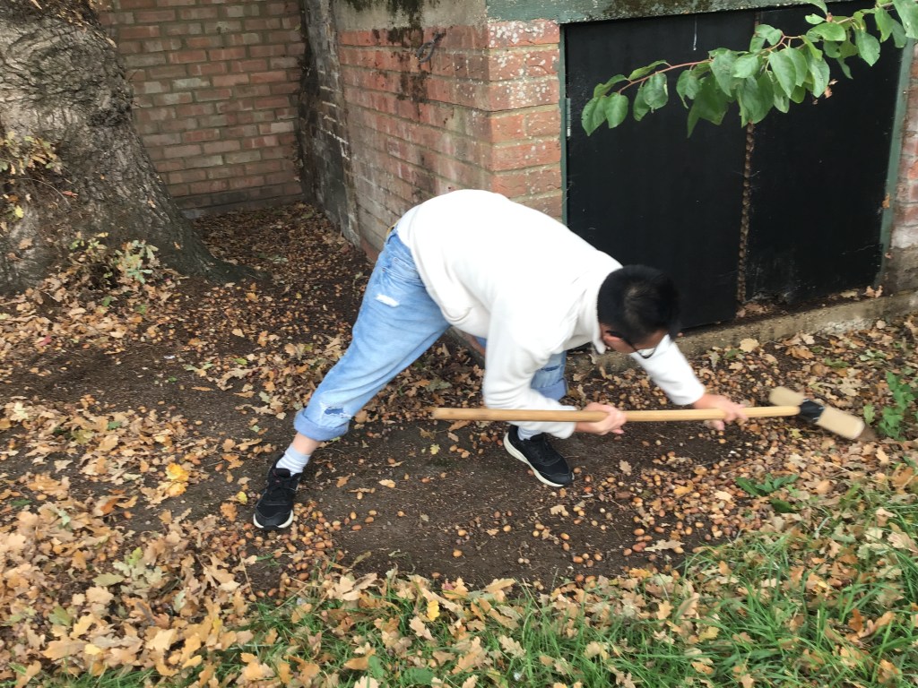 Unit 3 – 2.2 Outline the concept of holistic&nbsp;development.