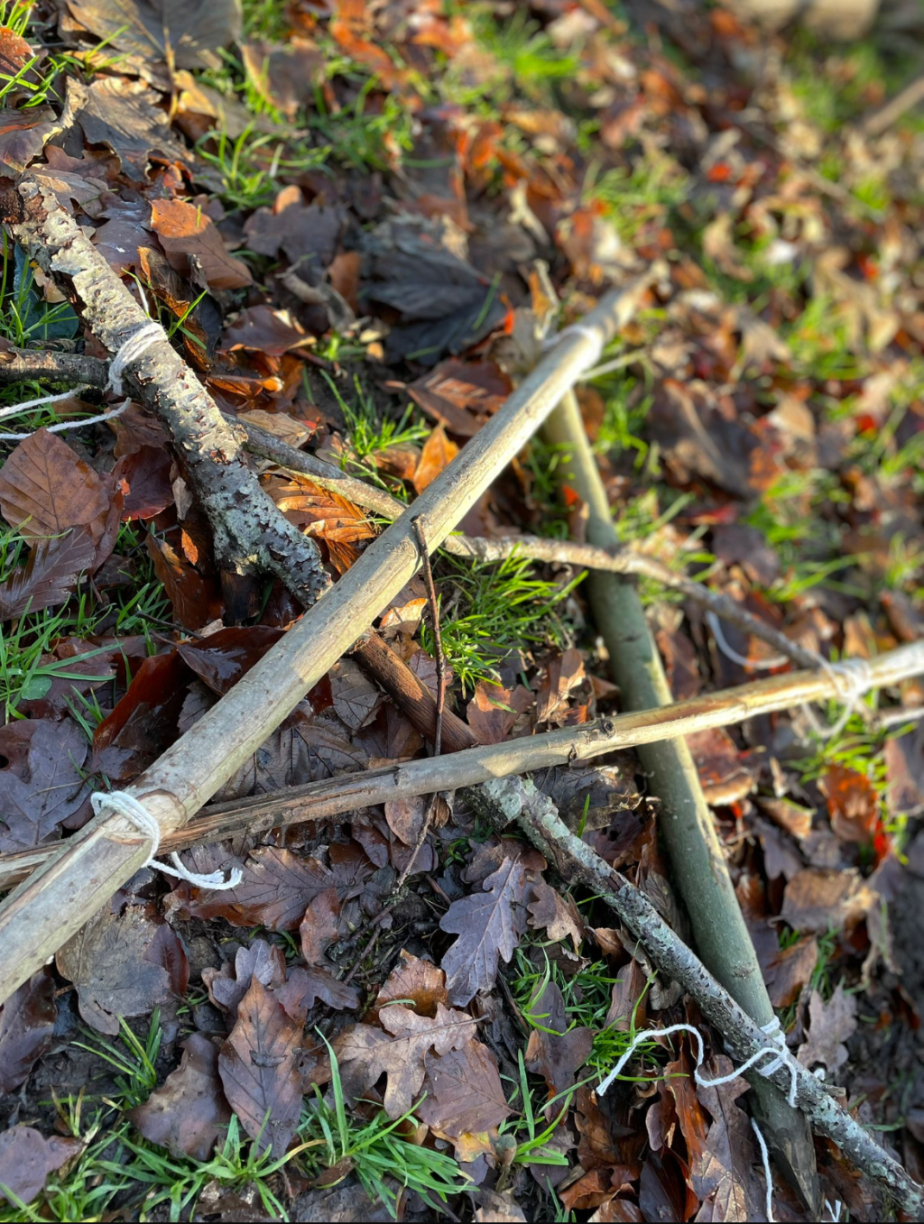 Unit 2 – 1.5 Demonstrate how to make a range of different items using natural woodland materials and explain how this can be taught to a client group.